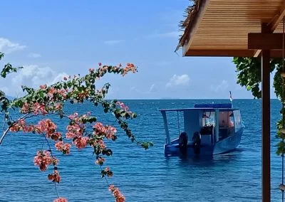 Diving Boat - Sali Bay Resort, Soth Halmahera, North Maluku