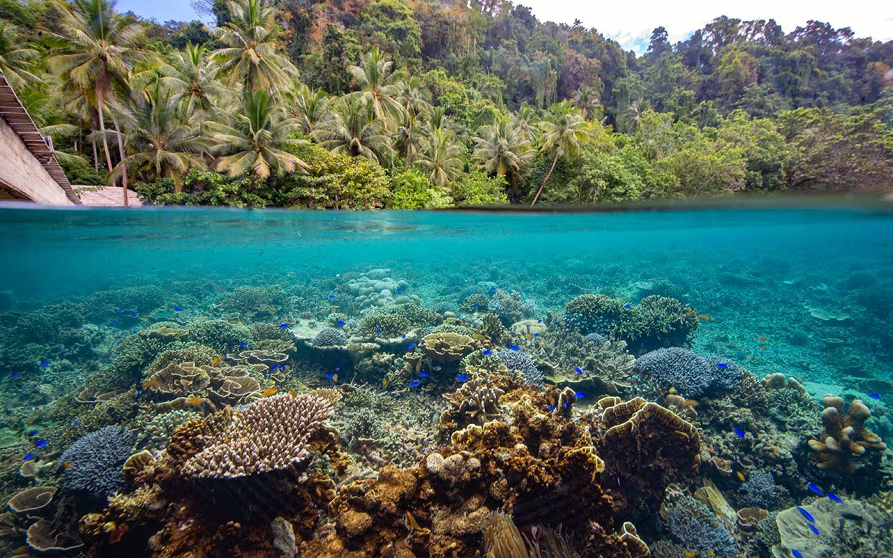 Home Reef, Sali Bay Resort